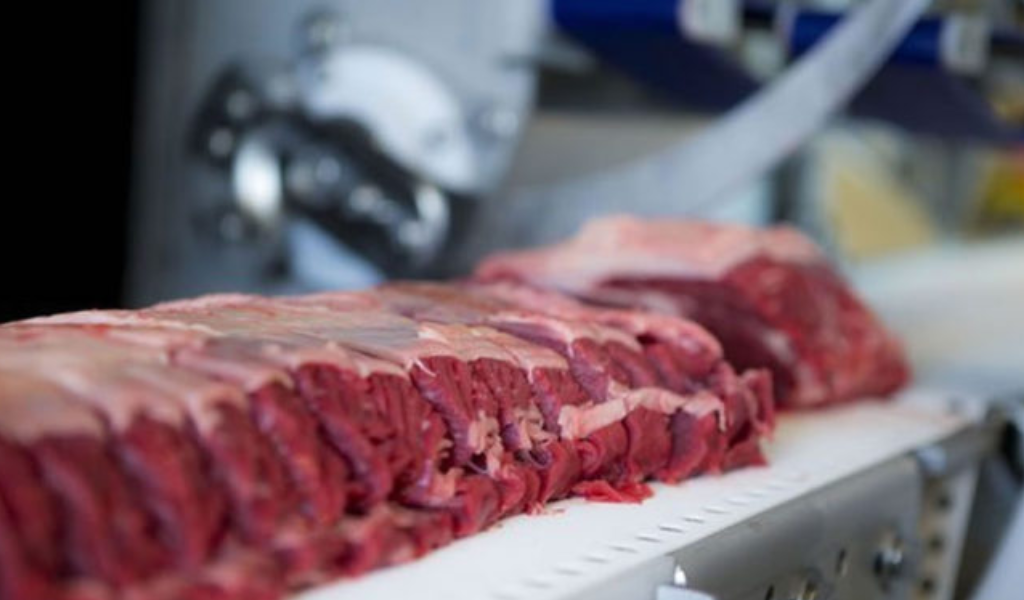 Salta jaqueada por delitos rurales: Detuvieron a 12 hombres por el robo de ganado y faenado clandestino