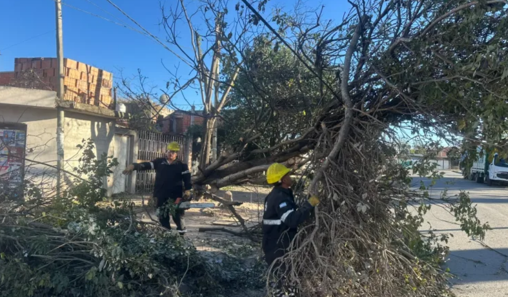 El Zonda no da tregua: La Municipalidad de Salta intervino en 135 incidentes por el viento y el fuego