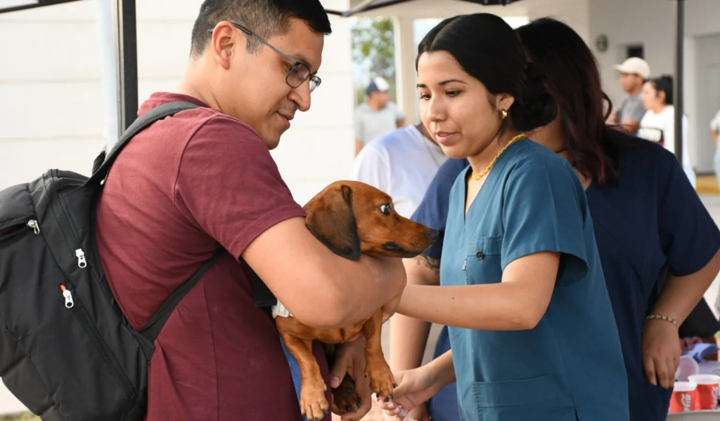 Si querés a tu mascota llevalo: Habrá vacunación antirrábica en los barrios Manjón, Floresta, Mosconi, Ara San Juan y Mitre