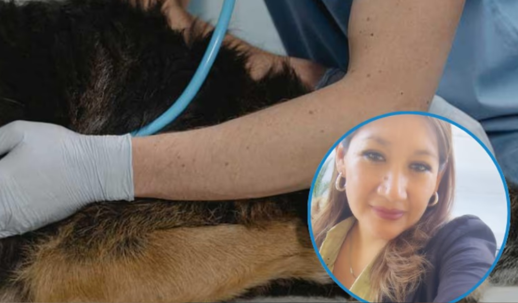 Maltrato animal extremo en Salta: El desgarrador caso de la perrita degollada en Atocha III y que ya está en la Justicia
