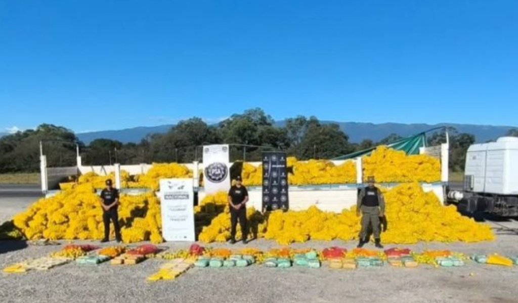 Cargamento narco: Salía de Salta con limones, pero ocultaba 150 kilos de estupefacientes