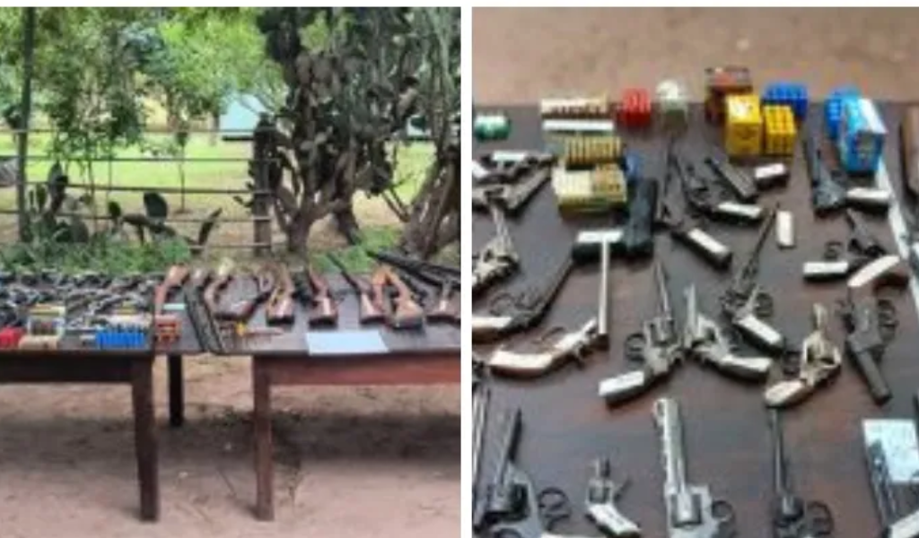 Impresionante decomiso: En Chicoana secuestran más de 55 armas de fuego y granadas en una finca