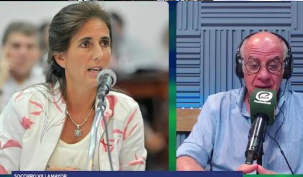 La diputada Villamayor acusa a La Cámpora y al Olmedismo de atacar a Sáenz a través de Cristina