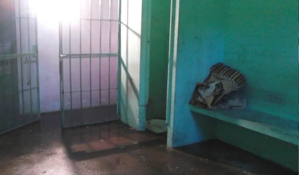 Investigan  la muerte violenta de un preso en el sur de Salta:  "Creen que fue linchado por otros detenidos"