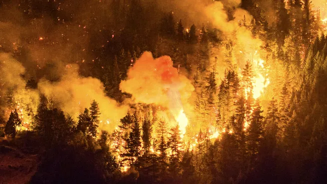 Incendios forestales: Después de un mes de la catastrofe el Gobierno firmó el DNU que declara la Emergencia Ígnea en la Patagonia