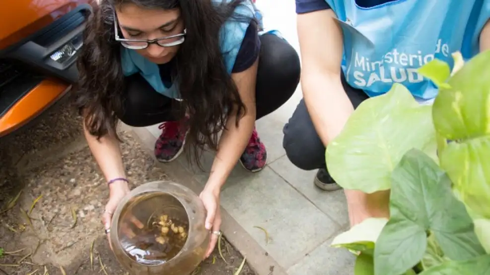 Brote de chikungunya en el norte: Envían test rápidos y preparan operativos en zonas críticas