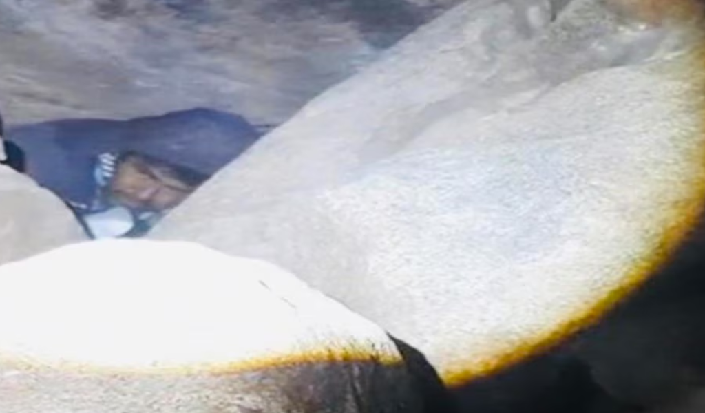 Daniel Orlando Serapio permaneció 11 días prófugo y fue hallado tras un intenso operativo en Salta. Fue imputado y se negó a declarar