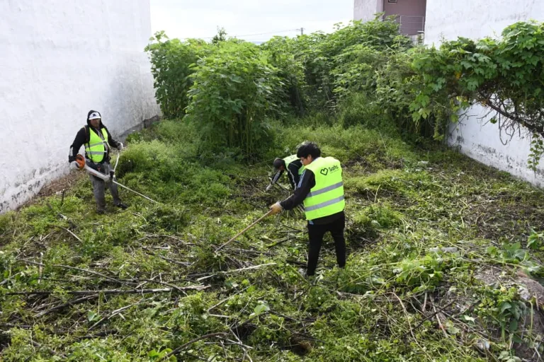 El Municipio de Salta desmalezó  un terreno privado en mal estado y le cobrará al dueño el costo de la limpieza
