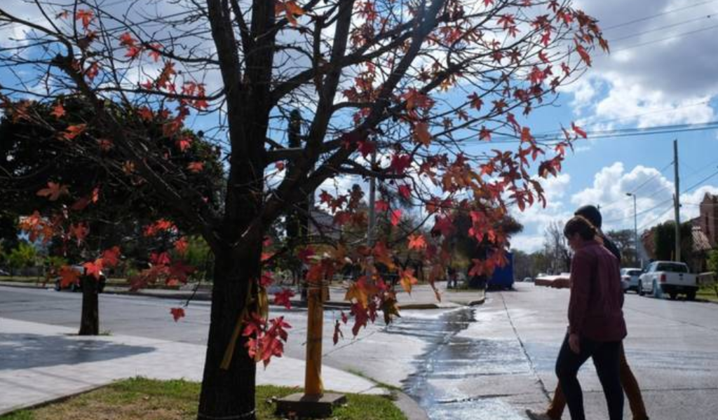 ¿Otoño veraniego en Salta? Según el Servicio Meteorológico estará entre las provincias que tendrán más calor del promedio