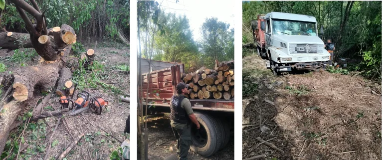 Multa y retención del camión: Control ambiental del Municipio detectó un desmonte irregular en barrio 14 de Mayo