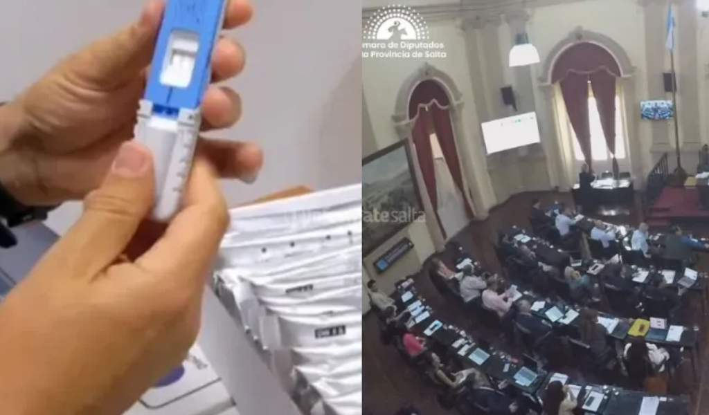 Sáenz convocó a sesiones extraordinarias para tratar el proyecto de obligatoriedad de exámenes toxicológicos para funcionarios