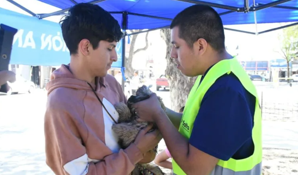 La Municipalidad instalará puestos de vacunación antirrábica en la zona sudeste
