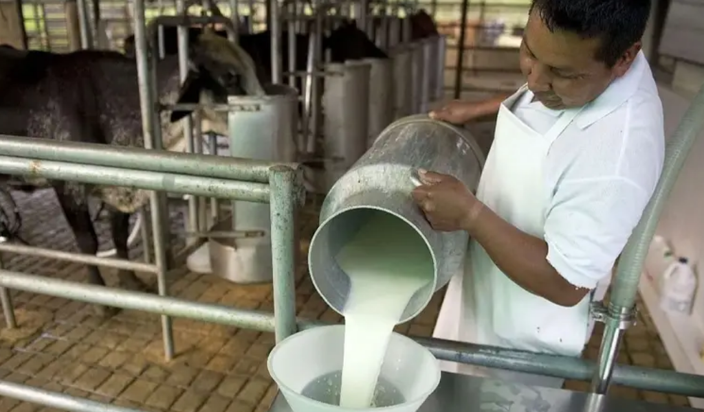 En plena crisis del sector lácteo argentino, la leche lidera inflación en tercera semana de marzo
