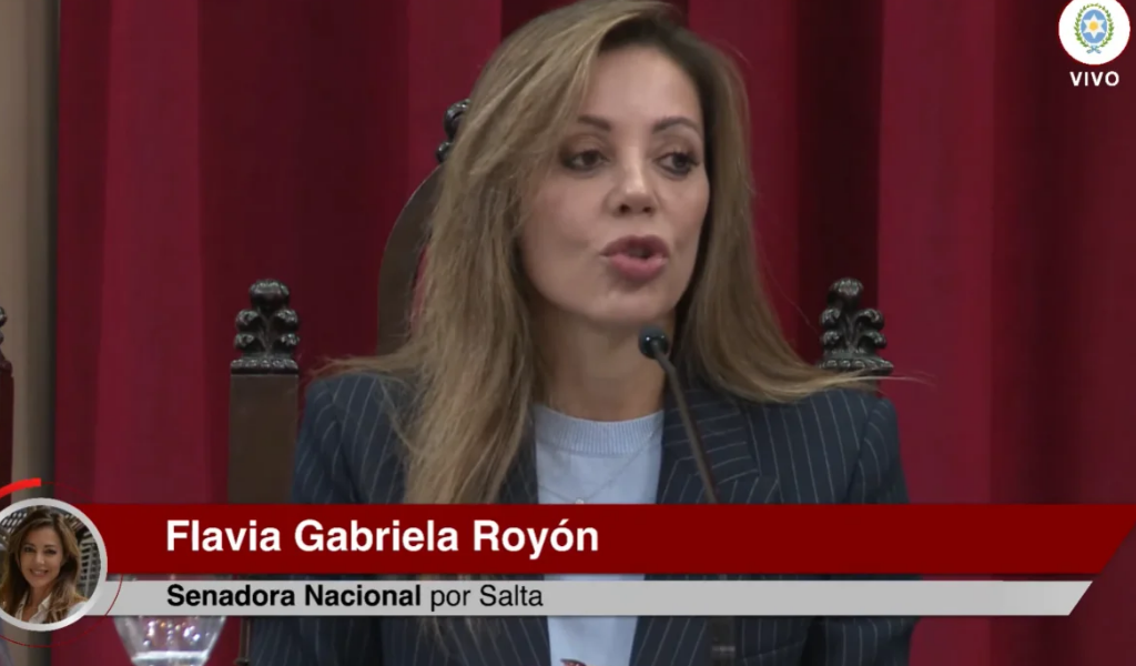 La senadora Royón alertó que la paralización de la obra del Gasoducto Norte complica el abastecimiento energético