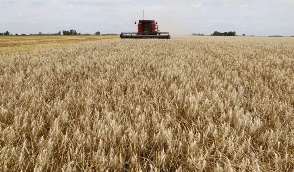 Inflación en alimentos: la Sociedad Rural admite una suba en los precios del agro por la guerra