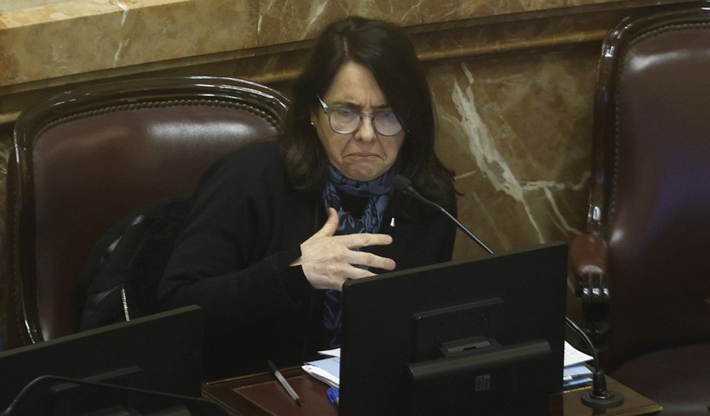 Una senadora oficialista dijo que "los niños argentinos no tienen derecho a ser curados en el Garrahan"