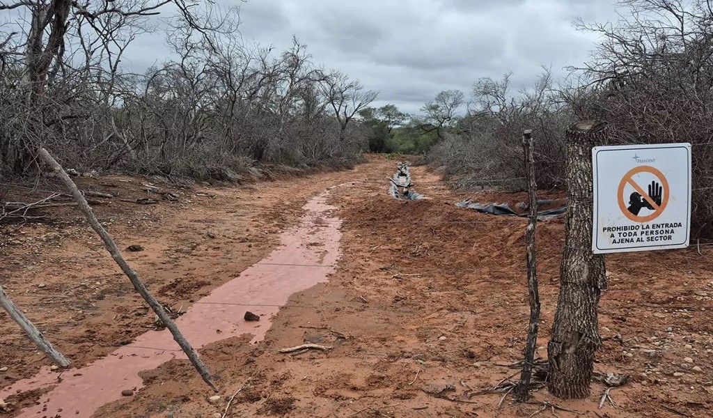 El Gobierno intimó a la empresa propietaria a que controle la pérdida del pozo petrolero en Pichanal