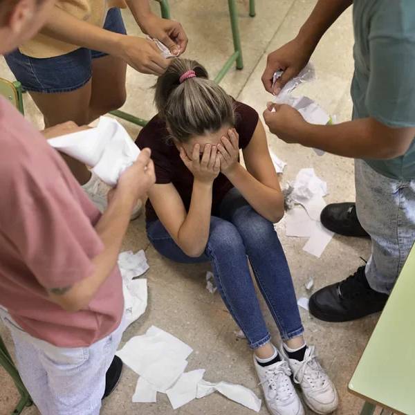 Salta endurece las medidas contra el bullying: Habrá fuertes sanciones para los padres de los agresores