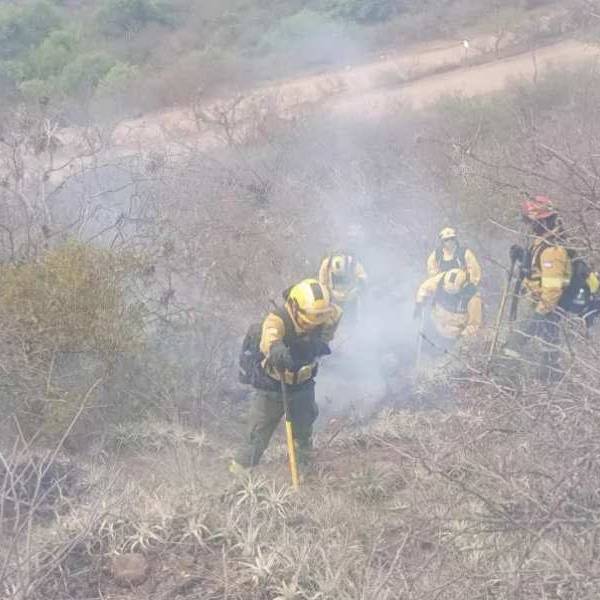Después de varias horas de lucha bomberos y defensa Civil lograron apagar un incendio de bosques nativos cercanos al río Juramento