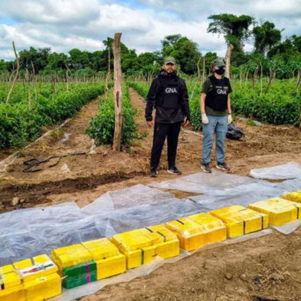 Cayó una organización que alquilaba fincas agrícolas en Salta para acopiar cocaína