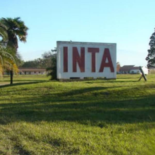 El Campo salteño defiende al INTA : 