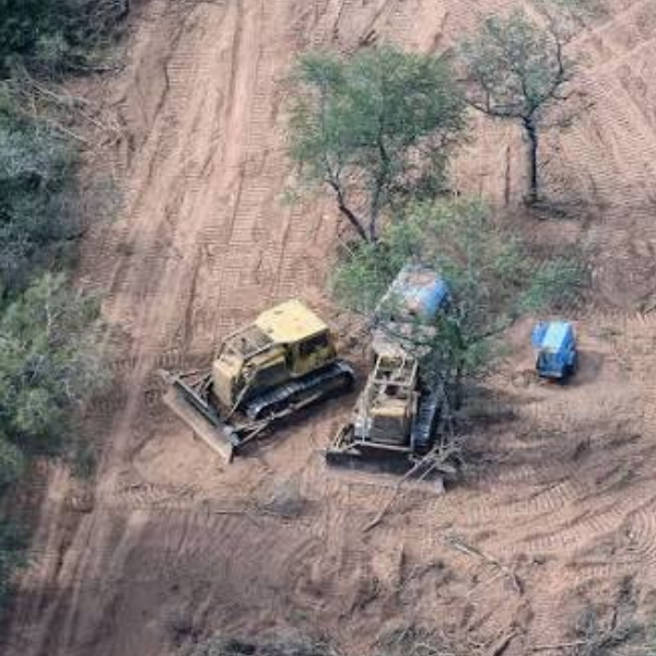 La Justicia elevó a $21.800 millones el embargo contra dos empresarios por un desmonte ilegal en el norte de Salta