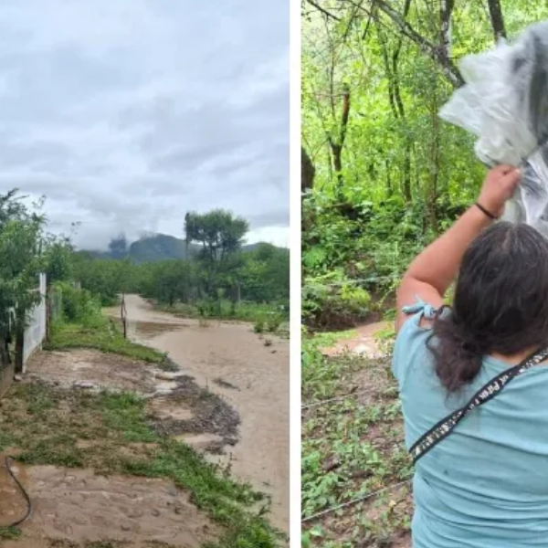 Una fuerte tormenta castigó a La Caldera: Hubo ingreso de agua en viviendas, crecidas en badenes y desmoronamientos