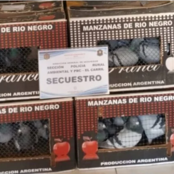 En El Carril infraccionaron a un hombre de 36 años que transportaba 89 palomas mensajeras