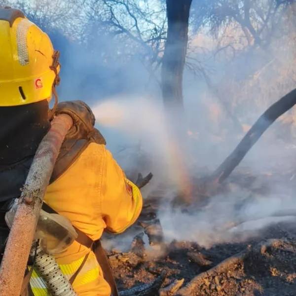 Tras afectar más de 200 hectáreas de bosque nativo el fuego fue controlado en Cafayate