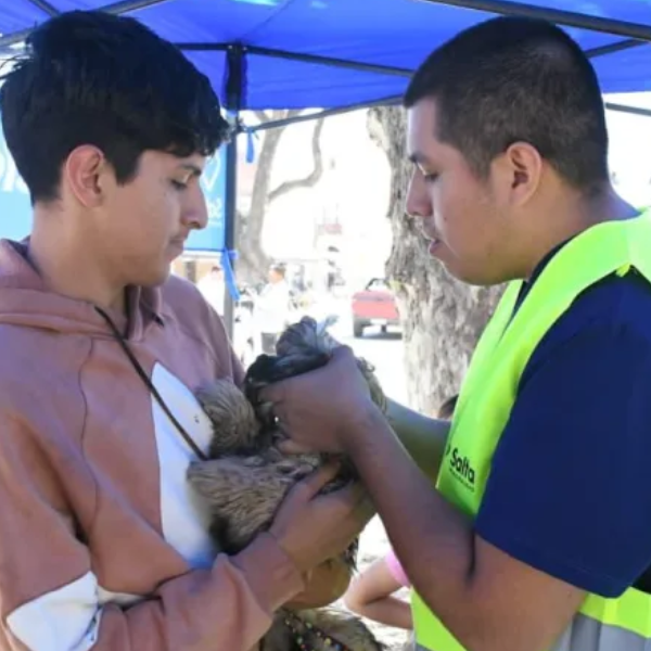 La Municipalidad instalará puestos de vacunación antirrábica en la zona sudeste