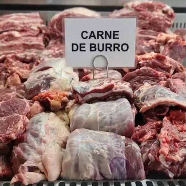 La dieta libertaria: Cómo el país de las vacas terminó mirando al burro