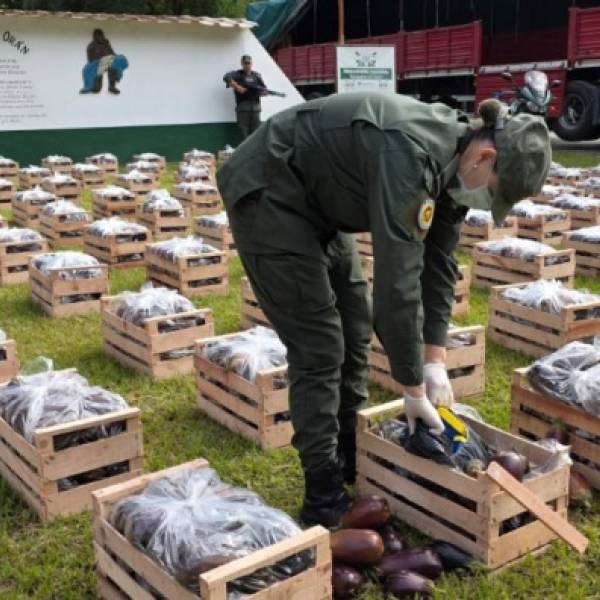 En el norte de Salta incautan 31 kilos de cocaína oculta en un camión que llevaba un cargamento de berenjena