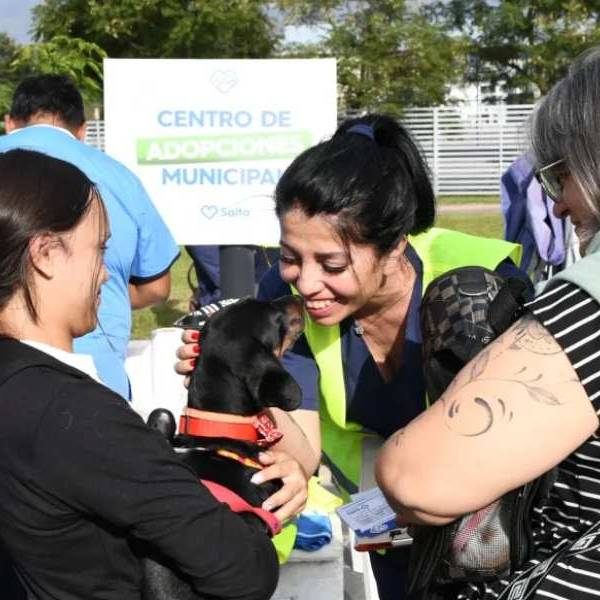 Jornada de adopción de mascotas en el Huaico: El Municipio sigue uniendo familias y perritos