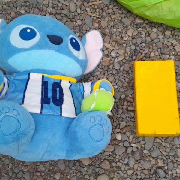 Salta: detuvieron a una mujer por llevar un kilo de cocaína oculto en un peluche