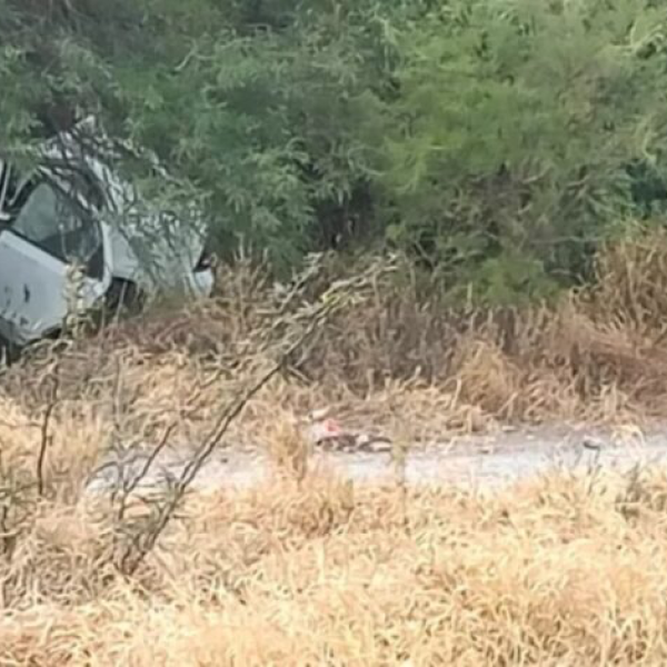 En Salta imputaron al propietario de caballos que causaron un siniestro vial y la muerte de una mujer