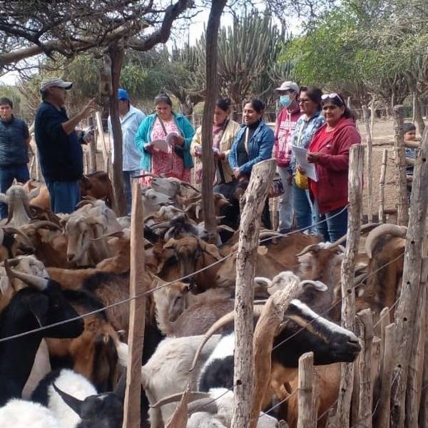 En medio del chaco salteño, Lucía Ruiz y otros pequeños  productores pelean por sus tierras contra los Tinelli, las Susana y las petroleras