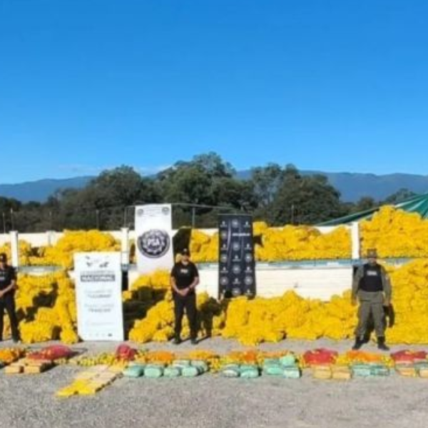 Cargamento narco: Salía de Salta con limones, pero ocultaba 150 kilos de estupefacientes
