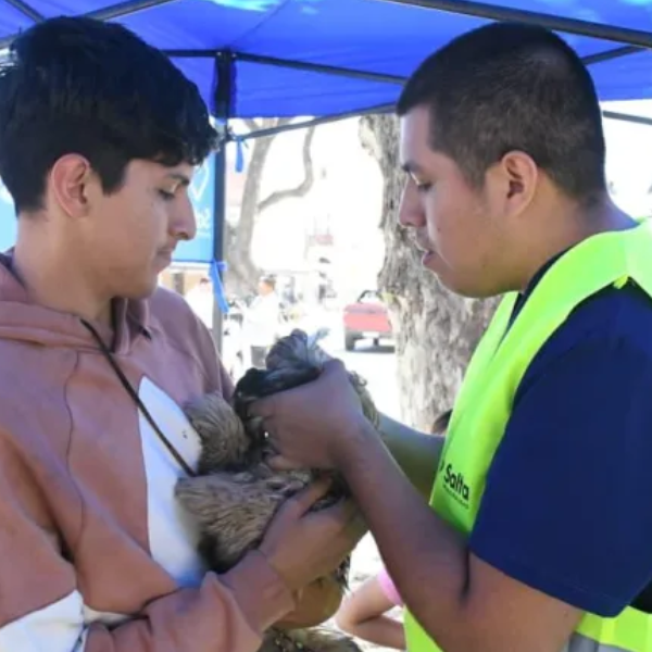 A partir de mañana la Municipalidad instalará puestos de vacunación antirrábica en barrios de zona sudeste