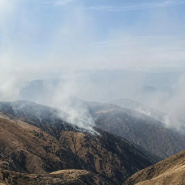 Tragedia en el norte de Salta: Un hombre de 55 años falleció en un incendio forestal en Nazareno
