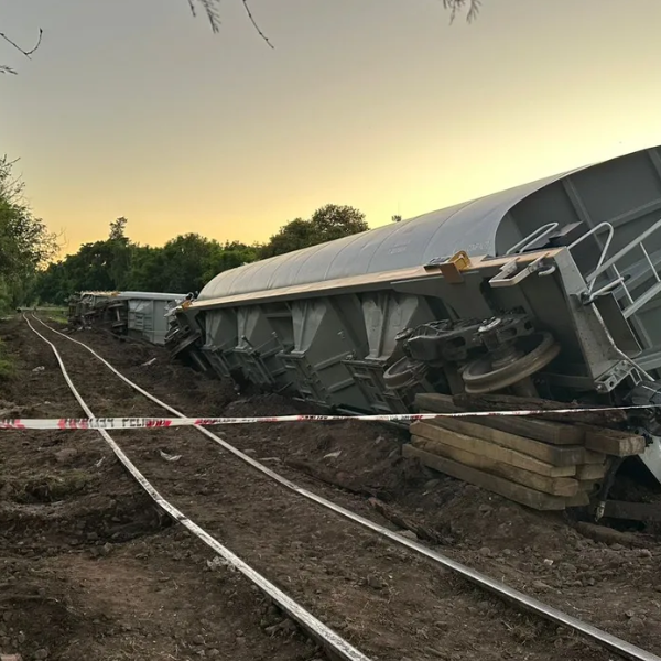 A 12 días del descarrilamiento del tren que llevaba granos de Salta a Santa Fe los vagones siguen al costado de las vías