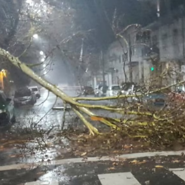 Un fuerte temporal dejó calles inundadas, destrozos y más de 50 mil usuarios sin energía eléctrica en el AMBA