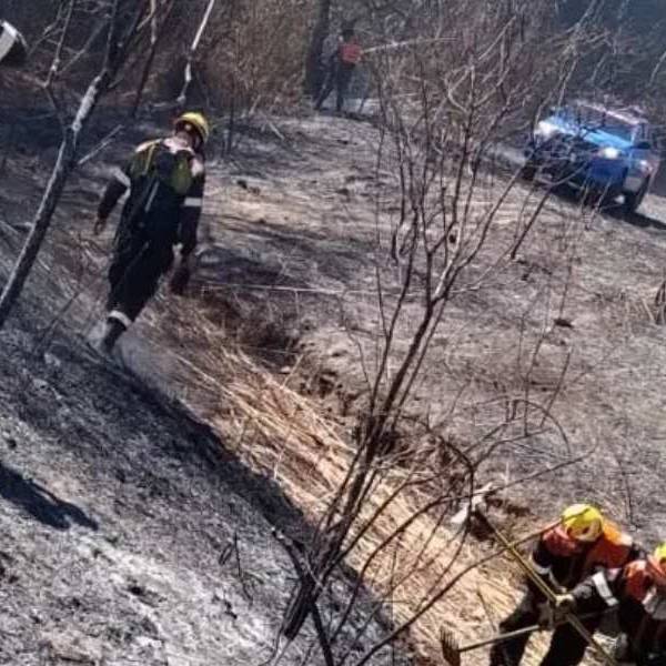Bomberos, municipio, y Defensa civil sofocaron un incendio de gran magnitud en la zona de Aunor