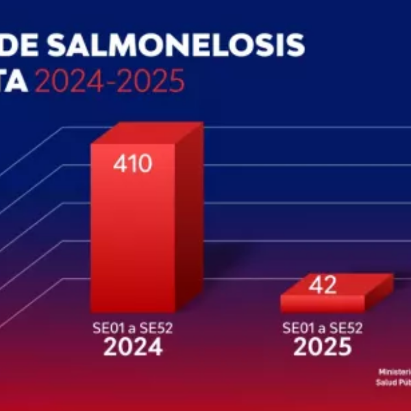 Los casos de salmonelosis disminuyeron un 90% en la provincia de Salta