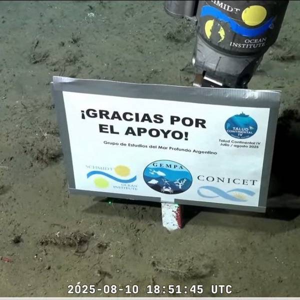 El streaming del Conicet llegó a The New York Times con críticas a Milei: 