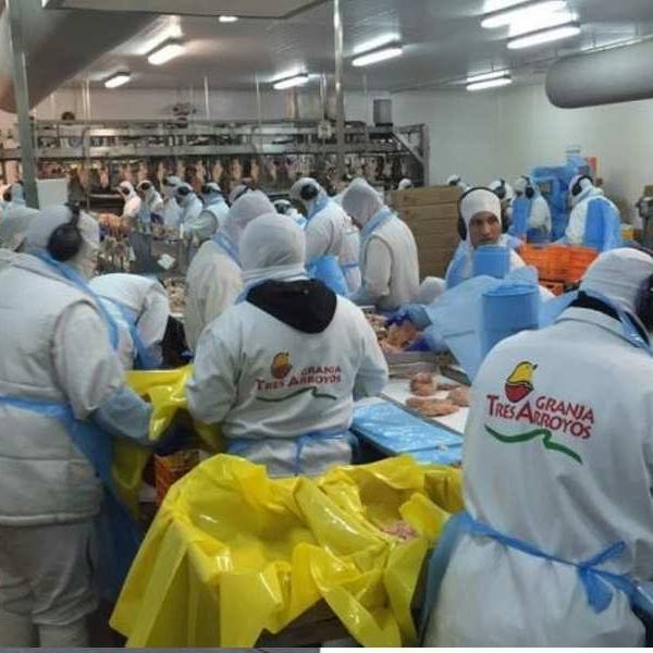Granja Tres Arroyos, la avícola más grande del país, ofrece pagar con pollos parte de los salarios