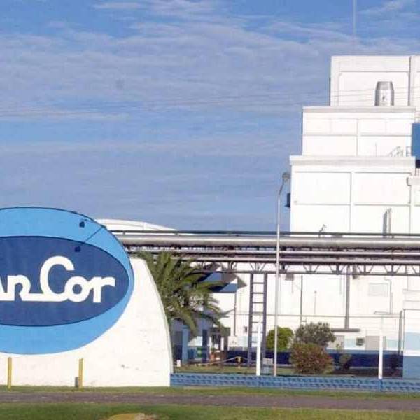 SanCor pidió su quiebra y enfrenta una deuda millonaria