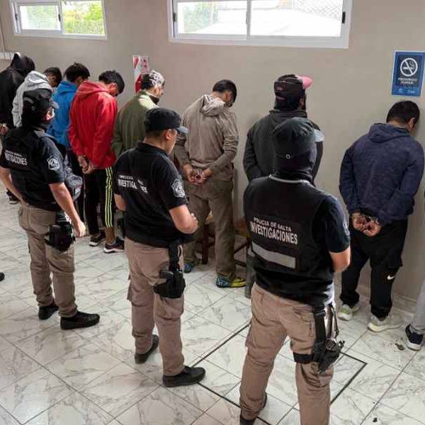 Ruta del abigeato: 9 detendidos irán a juicio en Salta por robo, faenado clandestino y comercialización de ganado
