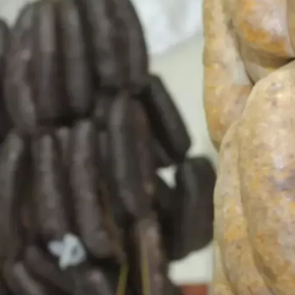 Habló la mujer que denunció a un comercio salteño por realizar embutidos supuestamente  con carne de gato: 