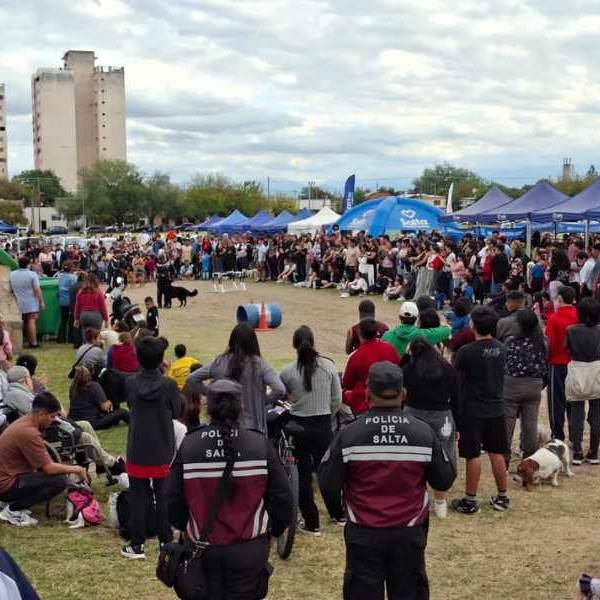 Feria Animal: siete perros ahora tienen un nuevo hogar