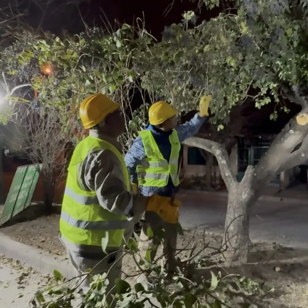 Más seguridad: la Municipalidad realizó tareas de poda nocturna en Santa Lucía